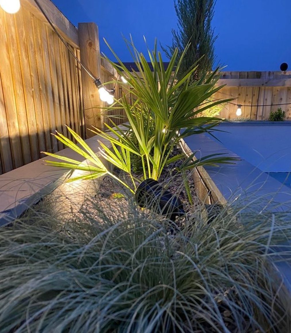 Garden spotlights highlighting planting